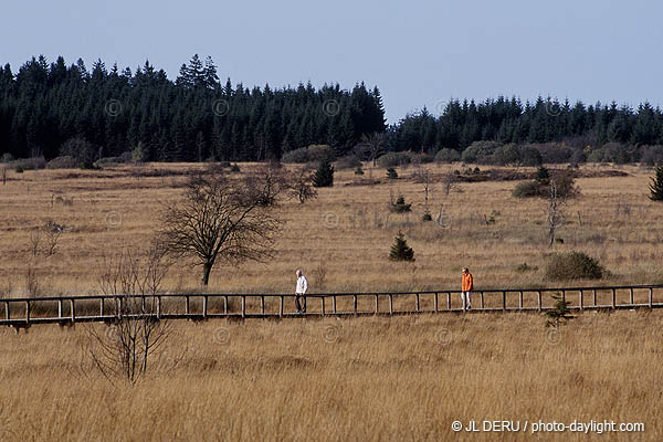 Promeneur dans les Fagnes - wallker in Fagnes